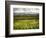 Italy, Tuscany, Autumn Vineyards-Terry Eggers-Framed Photographic Print