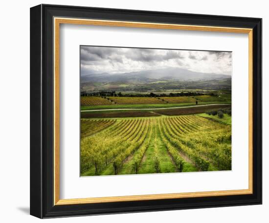 Italy, Tuscany, Autumn Vineyards-Terry Eggers-Framed Photographic Print