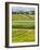 Italy, Tuscany, Autumn Vineyards-Terry Eggers-Framed Photographic Print