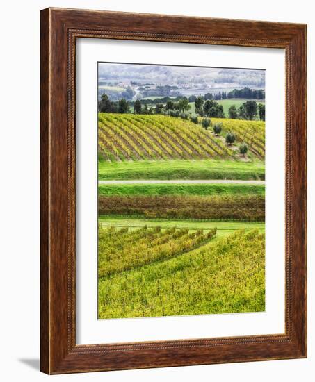 Italy, Tuscany, Autumn Vineyards-Terry Eggers-Framed Photographic Print