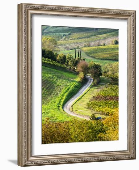 Italy, Tuscany, Chianti, Autumn, Road running through vineyards-Terry Eggers-Framed Photographic Print