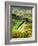 Italy, Tuscany, Chianti, Autumn, Road running through vineyards-Terry Eggers-Framed Photographic Print