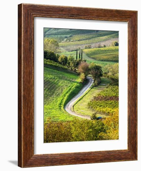 Italy, Tuscany, Chianti, Autumn, Road running through vineyards-Terry Eggers-Framed Photographic Print