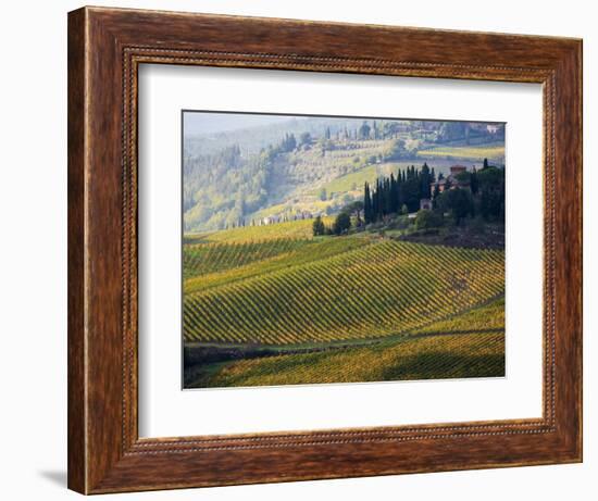 Italy, Tuscany, Chianti, Autumn Vineyard Rows-Terry Eggers-Framed Photographic Print