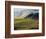 Italy, Tuscany, Chianti, Autumn Vineyard Rows-Terry Eggers-Framed Photographic Print