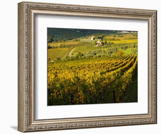 Italy, Tuscany, Chianti, Autumn Vineyard Rows-Terry Eggers-Framed Photographic Print