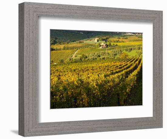 Italy, Tuscany, Chianti, Autumn Vineyard Rows-Terry Eggers-Framed Photographic Print