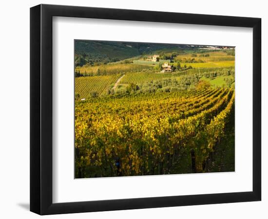 Italy, Tuscany, Chianti, Autumn Vineyard Rows-Terry Eggers-Framed Photographic Print