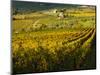 Italy, Tuscany, Chianti, Autumn Vineyard Rows-Terry Eggers-Mounted Photographic Print