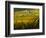 Italy, Tuscany, Chianti, Autumn Vineyard Rows-Terry Eggers-Framed Photographic Print