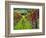 Italy, Tuscany, Chianti, Autumn Vineyard Rows-Terry Eggers-Framed Photographic Print