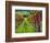 Italy, Tuscany, Chianti, Autumn Vineyard Rows-Terry Eggers-Framed Photographic Print