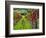 Italy, Tuscany, Chianti, Autumn Vineyard Rows-Terry Eggers-Framed Photographic Print