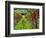 Italy, Tuscany, Chianti, Autumn Vineyard Rows-Terry Eggers-Framed Photographic Print