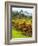 Italy, Tuscany, Chianti, Autumn Vineyard Rows-Terry Eggers-Framed Photographic Print