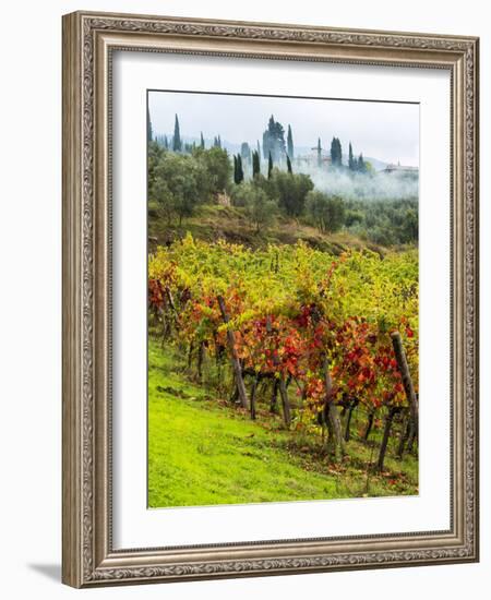 Italy, Tuscany, Chianti, Autumn Vineyard Rows-Terry Eggers-Framed Photographic Print