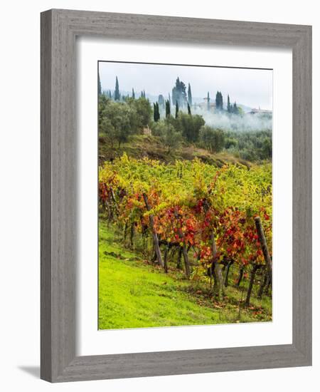 Italy, Tuscany, Chianti, Autumn Vineyard Rows-Terry Eggers-Framed Photographic Print