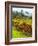 Italy, Tuscany, Chianti, Autumn Vineyard Rows-Terry Eggers-Framed Photographic Print