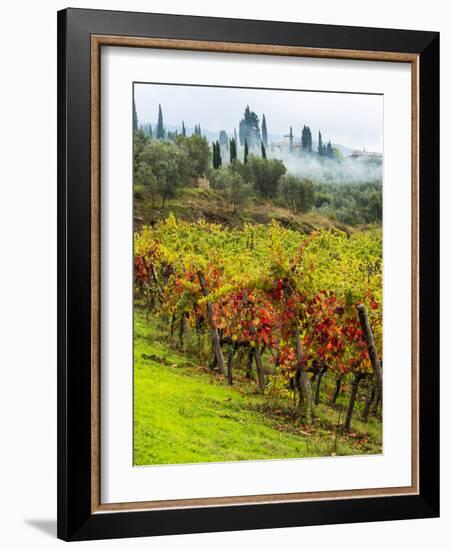 Italy, Tuscany, Chianti, Autumn Vineyard Rows-Terry Eggers-Framed Photographic Print