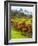 Italy, Tuscany, Chianti, Autumn Vineyard Rows-Terry Eggers-Framed Photographic Print