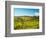 Italy, Tuscany, Chianti, Panzano, Autumn Vineyard-Terry Eggers-Framed Photographic Print