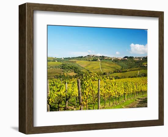 Italy, Tuscany, Chianti, Panzano, Autumn Vineyard-Terry Eggers-Framed Photographic Print