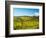 Italy, Tuscany, Chianti, Panzano, Autumn Vineyard-Terry Eggers-Framed Photographic Print