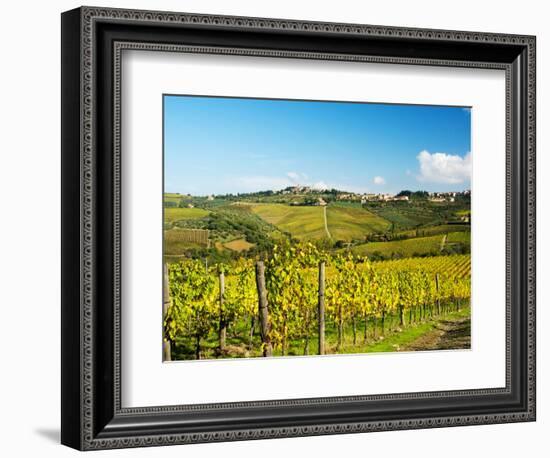 Italy, Tuscany, Chianti, Panzano, Autumn Vineyard-Terry Eggers-Framed Photographic Print