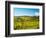 Italy, Tuscany, Chianti, Panzano, Autumn Vineyard-Terry Eggers-Framed Photographic Print