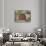 Italy, Tuscany, Chianti Region. This Is the Castello D'Albola Estate-Julie Eggers-Photographic Print displayed on a wall