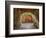 Italy, Tuscany, Chianti Region. This Is the Castello D'Albola Estate-Julie Eggers-Framed Photographic Print