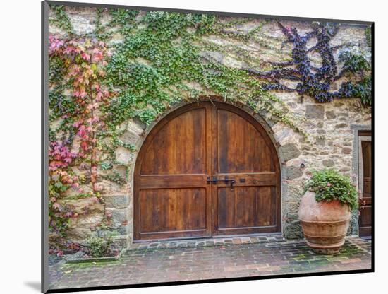 Italy, Tuscany, Chianti Region. This Is the Castello D'Albola Estate-Julie Eggers-Mounted Photographic Print