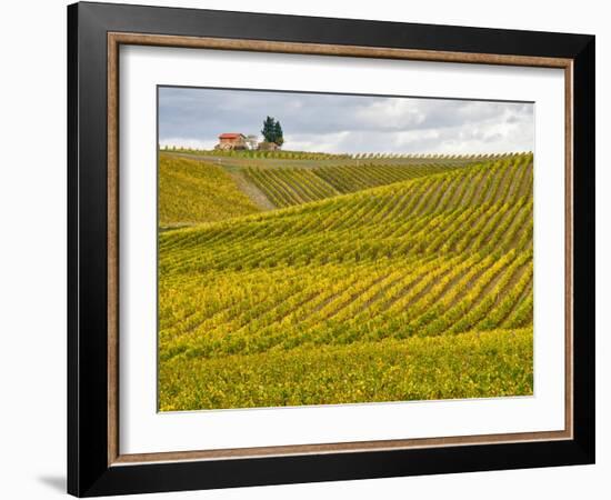 Italy, Tuscany. Colorful vineyard in autumn.-Julie Eggers-Framed Photographic Print