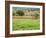 Italy, Tuscany. Colorful vineyard in autumn.-Julie Eggers-Framed Photographic Print