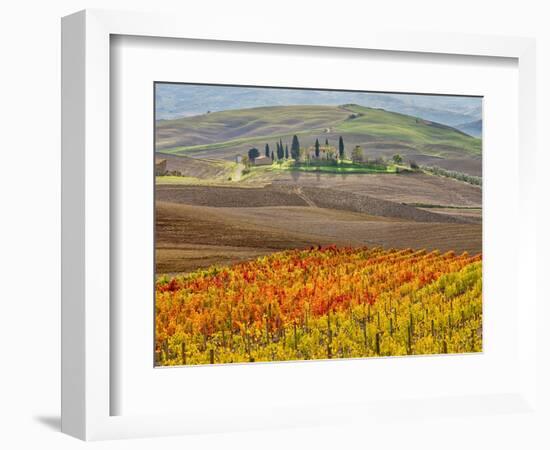 Italy, Tuscany. Colorful vineyard in autumn.-Julie Eggers-Framed Photographic Print