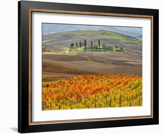 Italy, Tuscany. Colorful vineyard in autumn.-Julie Eggers-Framed Photographic Print