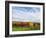 Italy, Tuscany. Colorful vineyards in autumn with blue skies and clouds.-Julie Eggers-Framed Photographic Print