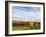 Italy, Tuscany. Colorful vineyards in autumn with blue skies and clouds.-Julie Eggers-Framed Photographic Print