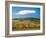 Italy, Tuscany. Colorful vineyards in autumn with blue skies and clouds.-Julie Eggers-Framed Photographic Print