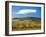 Italy, Tuscany. Colorful vineyards in autumn with blue skies and clouds.-Julie Eggers-Framed Photographic Print