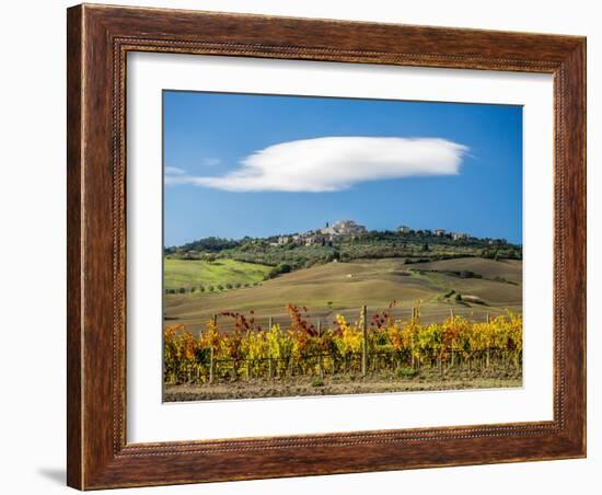 Italy, Tuscany. Colorful vineyards in autumn with blue skies and clouds.-Julie Eggers-Framed Photographic Print