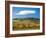 Italy, Tuscany. Colorful vineyards in autumn with blue skies and clouds.-Julie Eggers-Framed Photographic Print