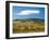 Italy, Tuscany. Colorful vineyards in autumn with blue skies and clouds.-Julie Eggers-Framed Photographic Print