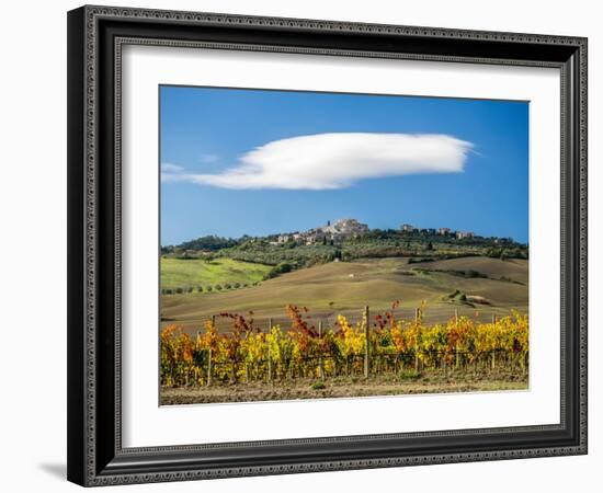 Italy, Tuscany. Colorful vineyards in autumn with blue skies and clouds.-Julie Eggers-Framed Photographic Print