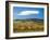 Italy, Tuscany. Colorful vineyards in autumn with blue skies and clouds.-Julie Eggers-Framed Photographic Print