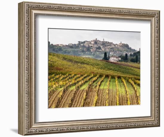 Italy, Tuscany. Colorful Vineyards in Fall in the Val Dorcia-Julie Eggers-Framed Photographic Print
