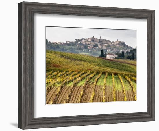 Italy, Tuscany. Colorful Vineyards in Fall in the Val Dorcia-Julie Eggers-Framed Photographic Print