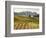 Italy, Tuscany. Colorful Vineyards in Fall in the Val Dorcia-Julie Eggers-Framed Photographic Print