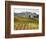 Italy, Tuscany. Colorful Vineyards in Fall in the Val Dorcia-Julie Eggers-Framed Photographic Print