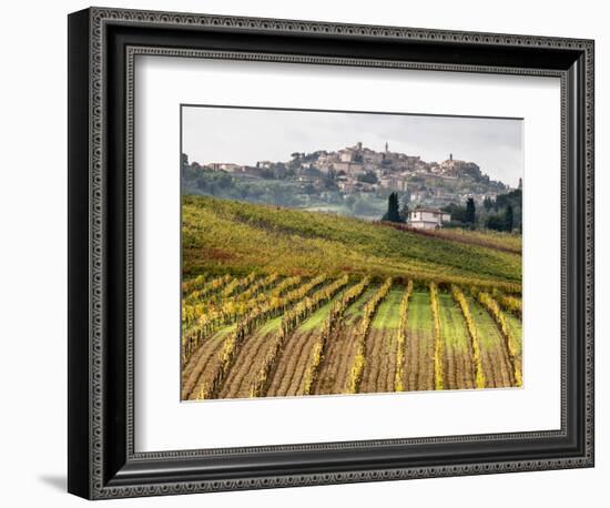 Italy, Tuscany. Colorful Vineyards in Fall in the Val Dorcia-Julie Eggers-Framed Photographic Print